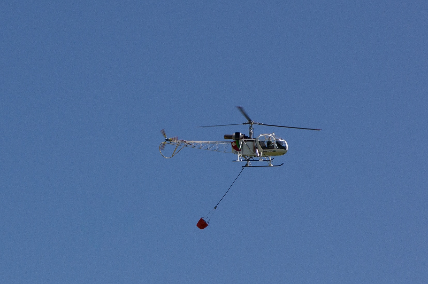 wieslet-02878.jpg