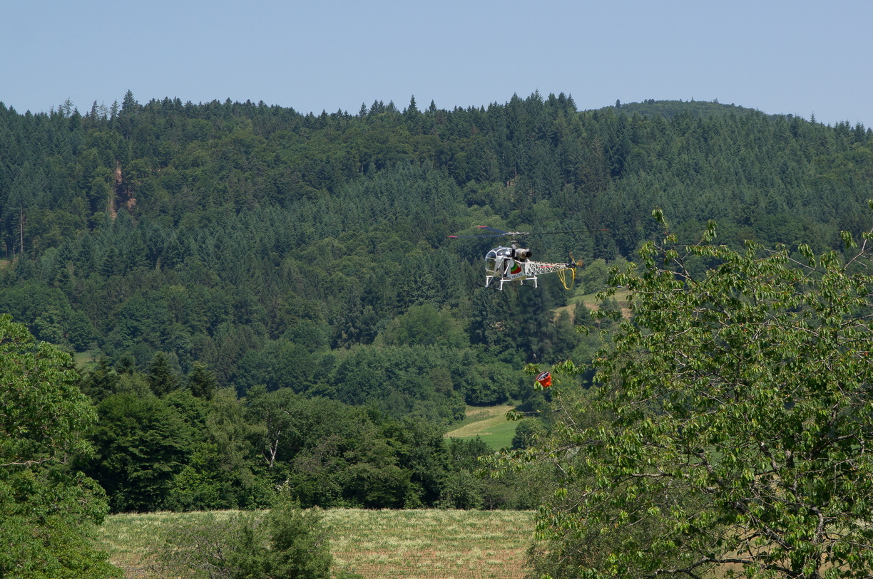 wieslet-02880 (36537 visits) wieslet-02880