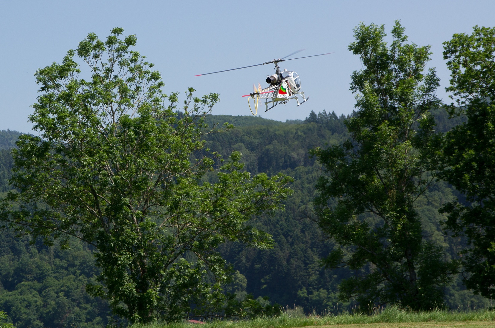 wieslet-02908.jpg