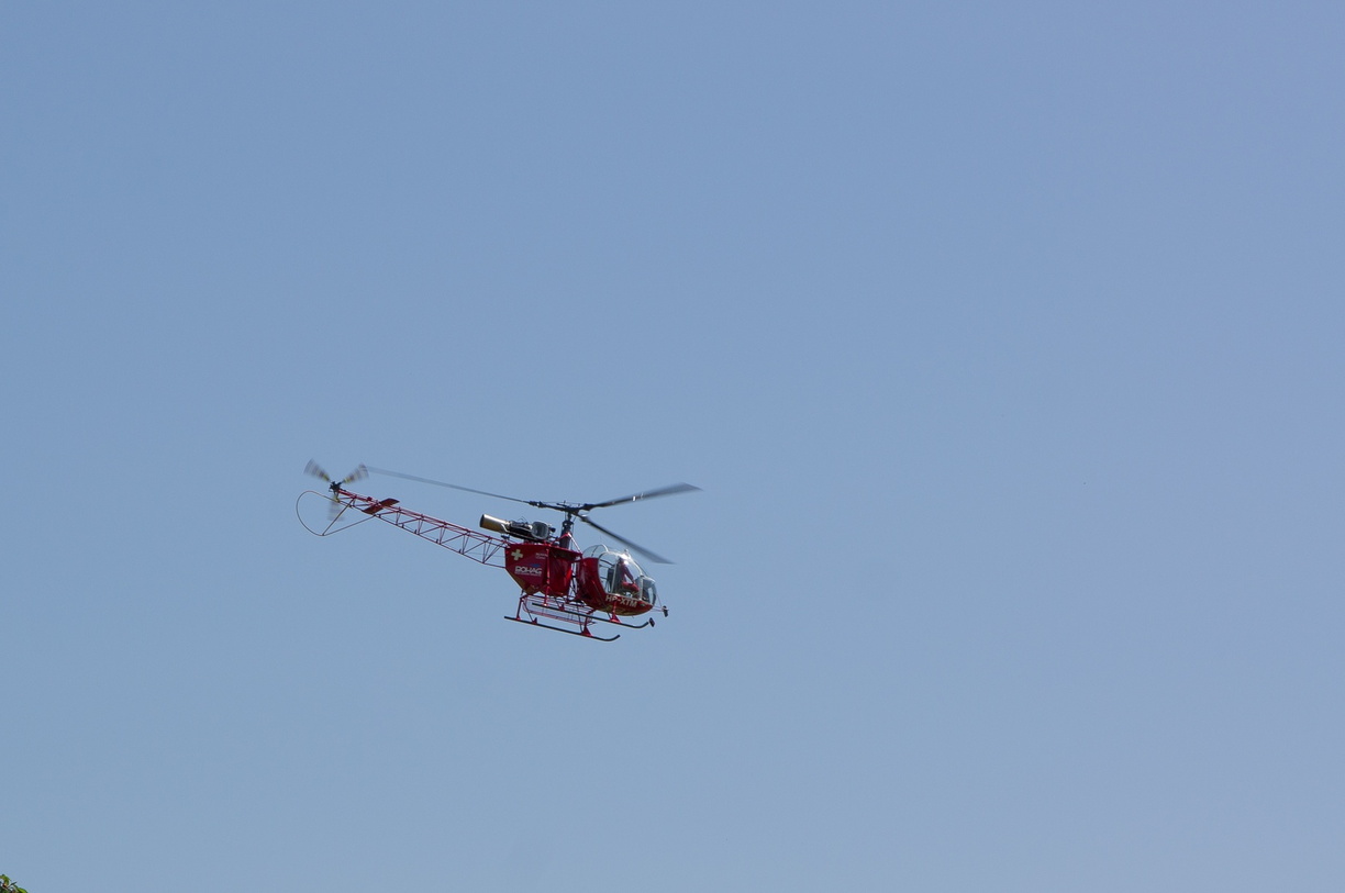 wieslet-02922