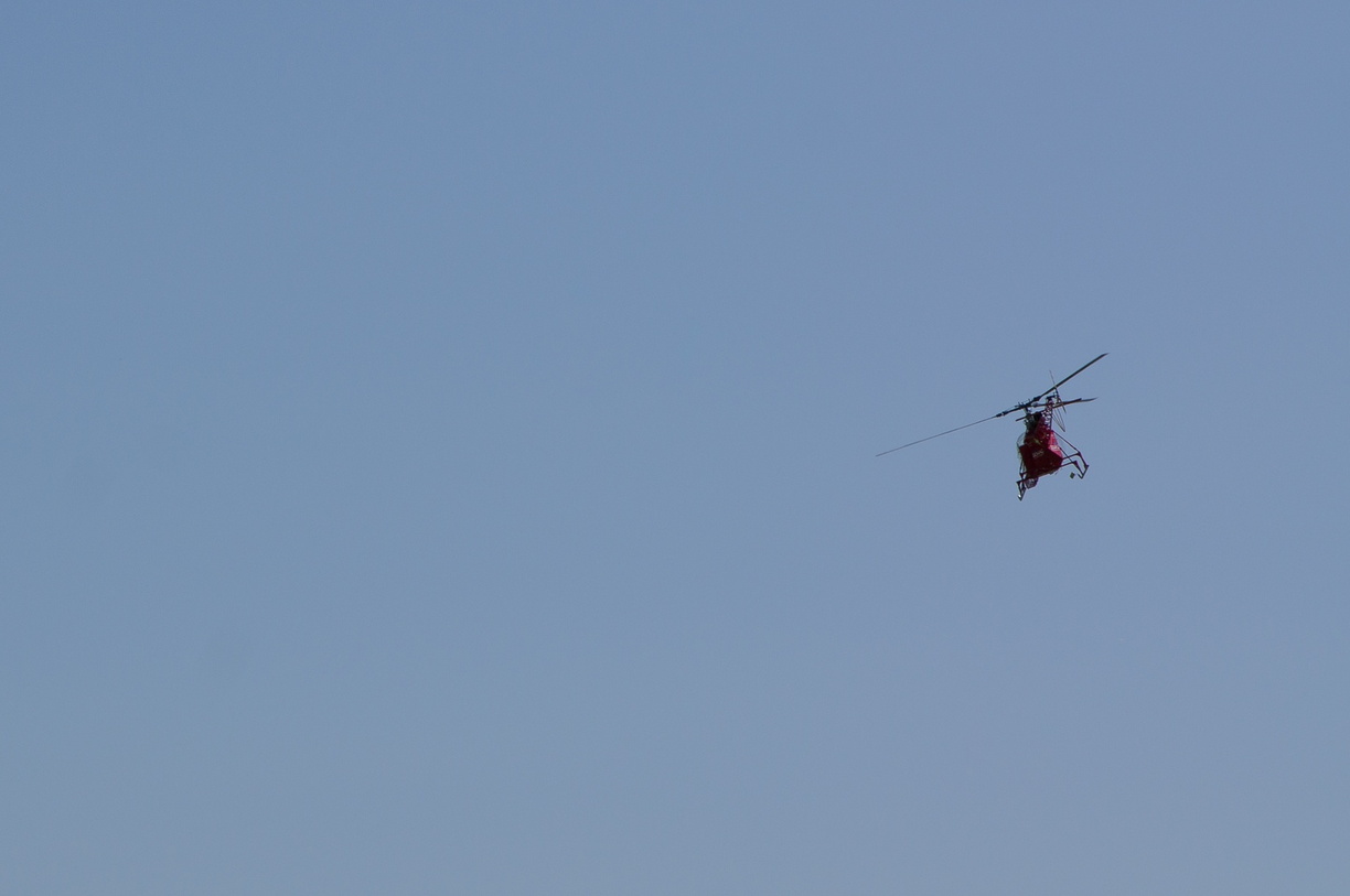 wieslet-02924