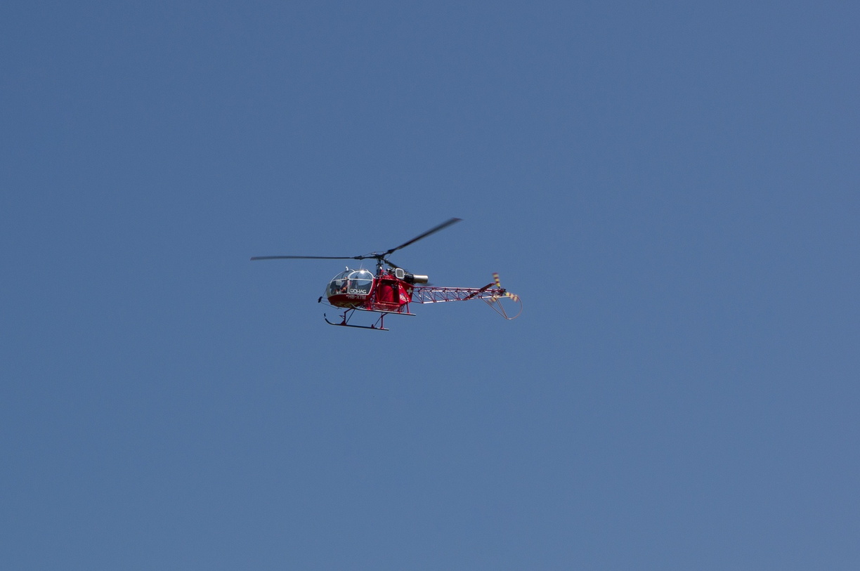 wieslet-02927