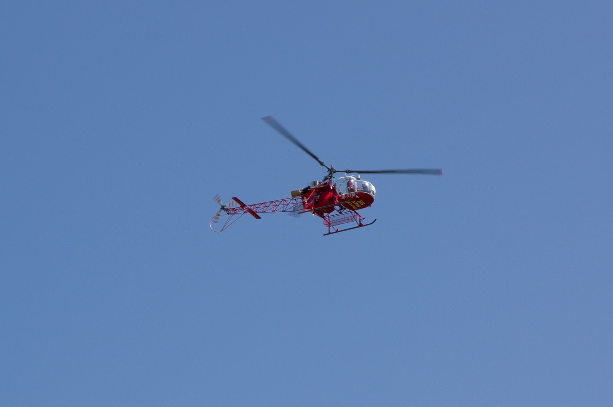 wieslet-02932