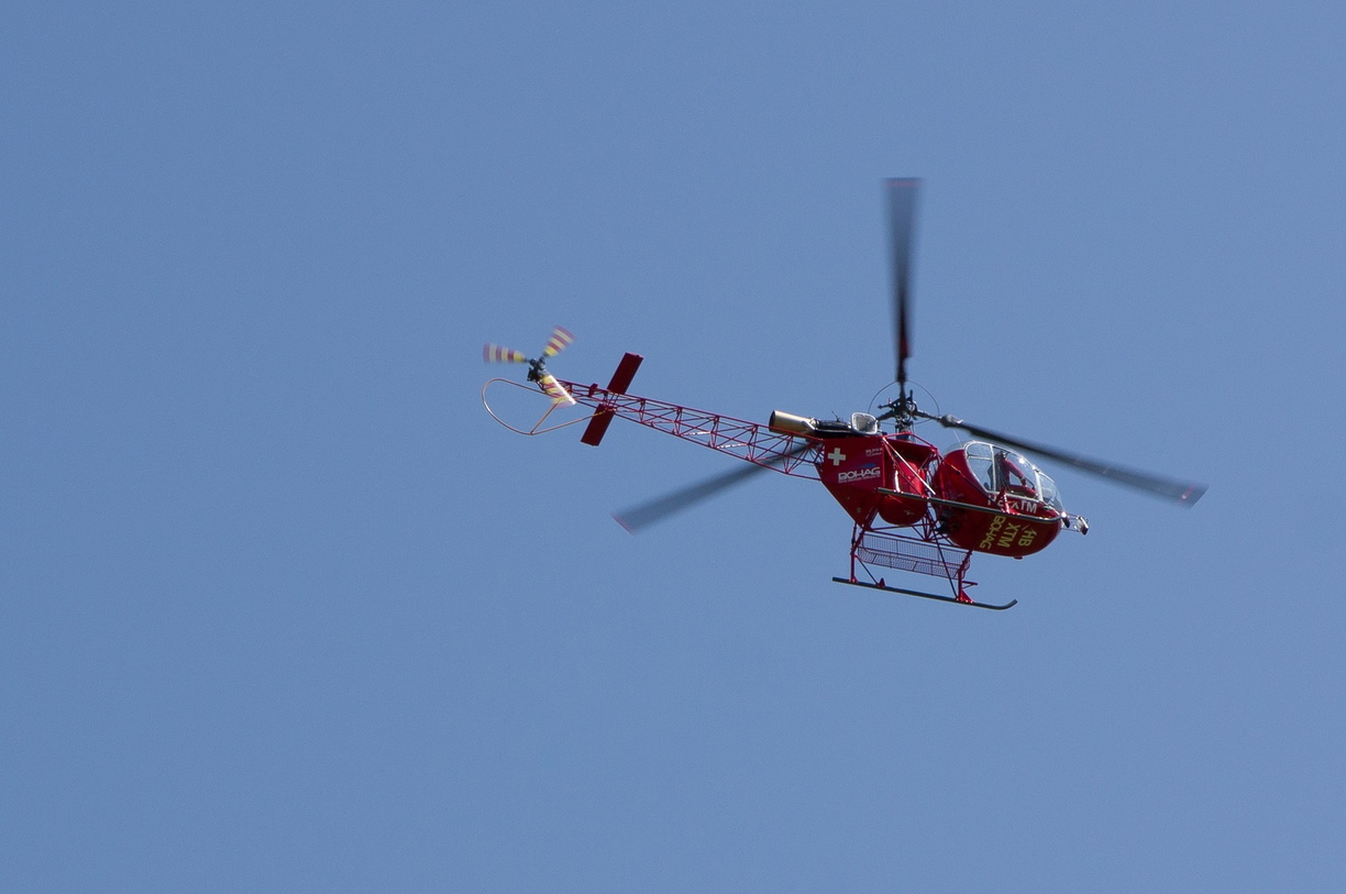 wieslet-02934