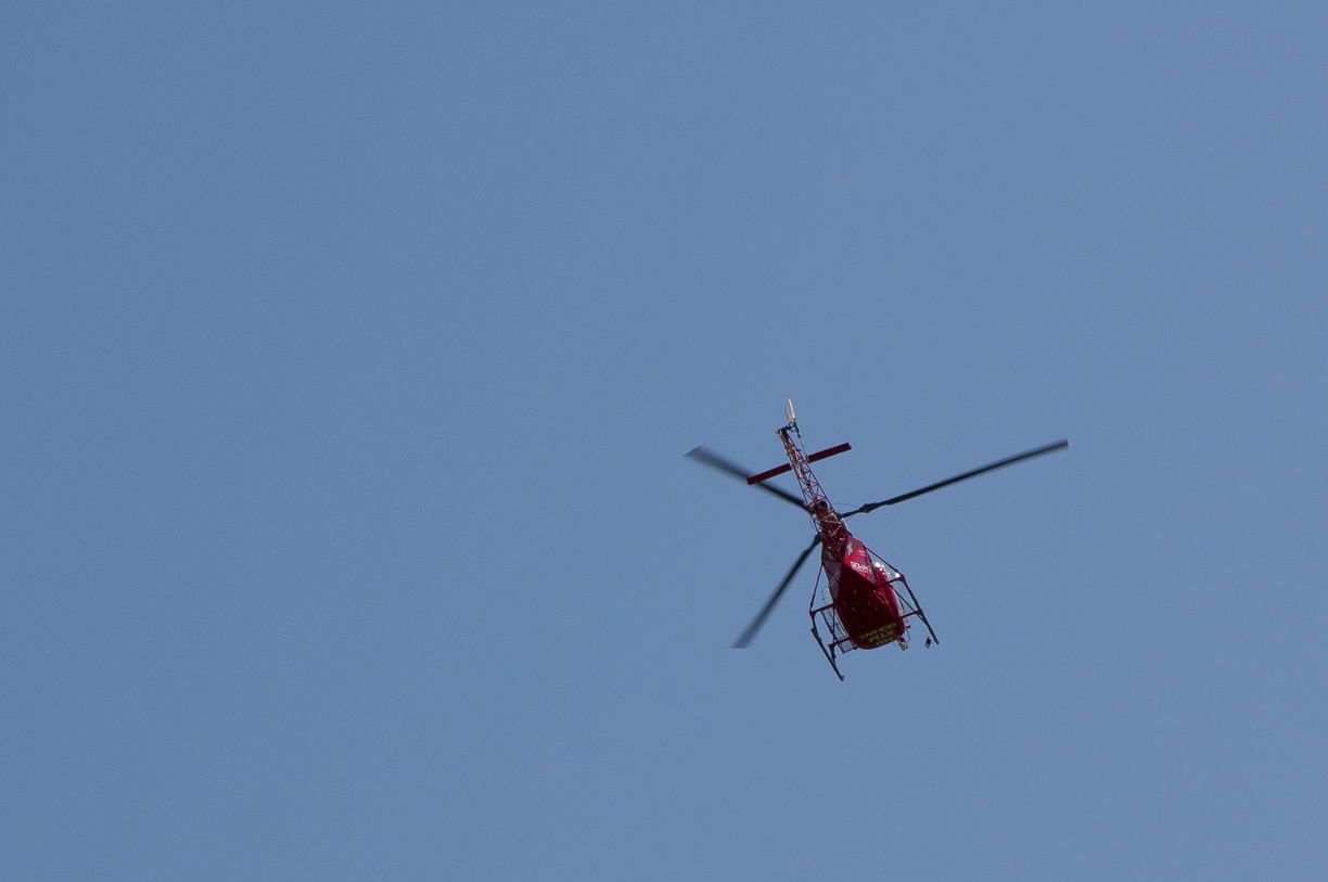 wieslet-02936