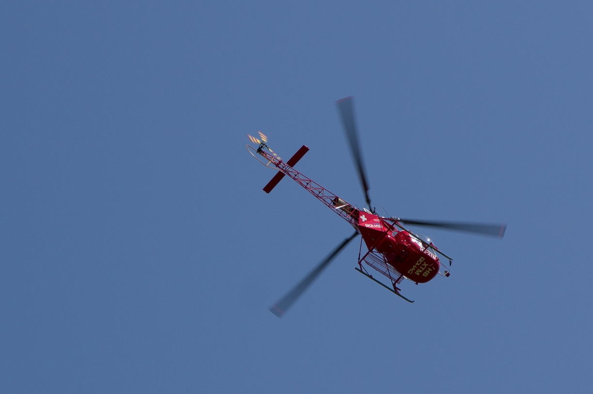wieslet-02945