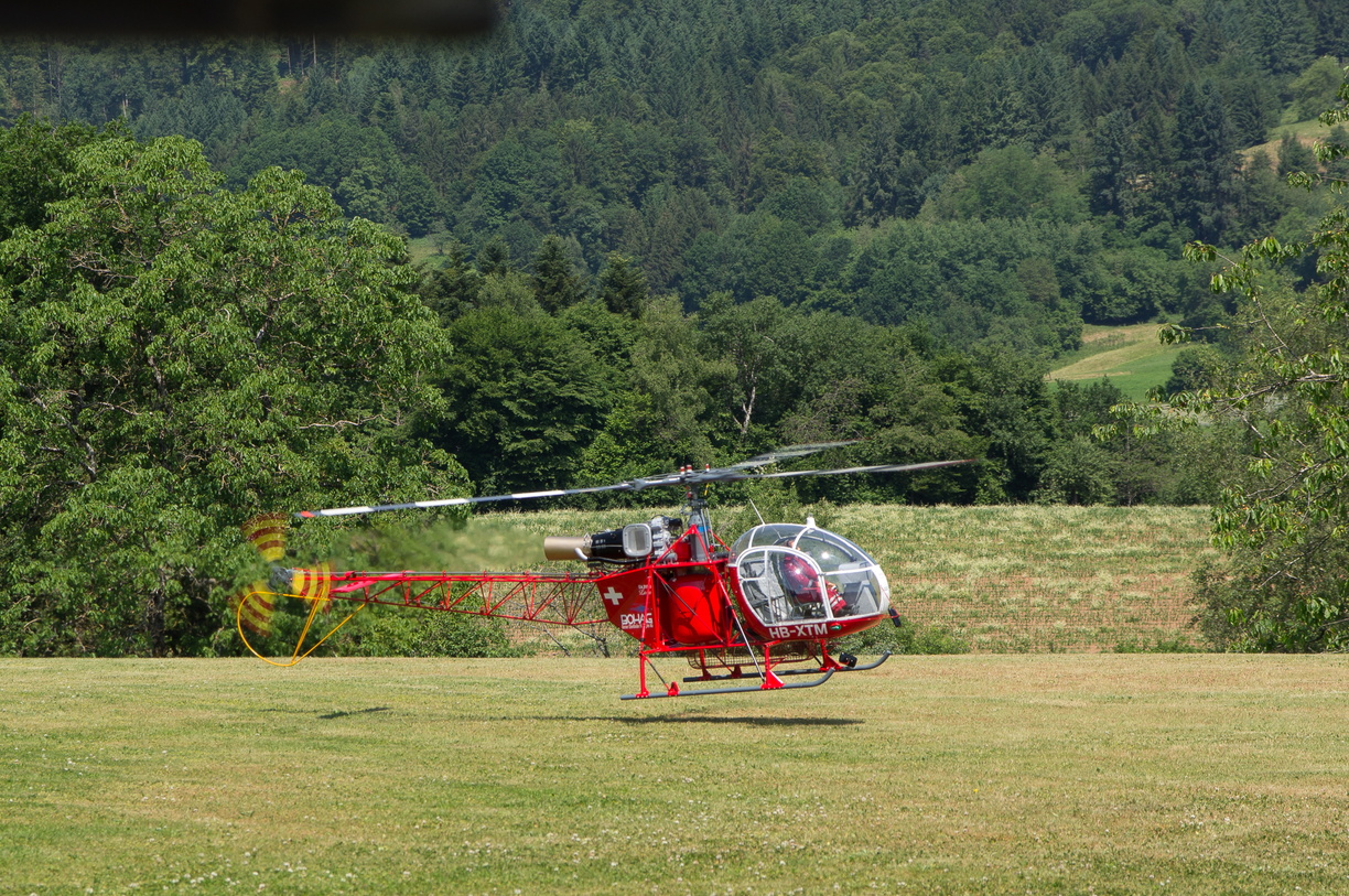 wieslet-02949