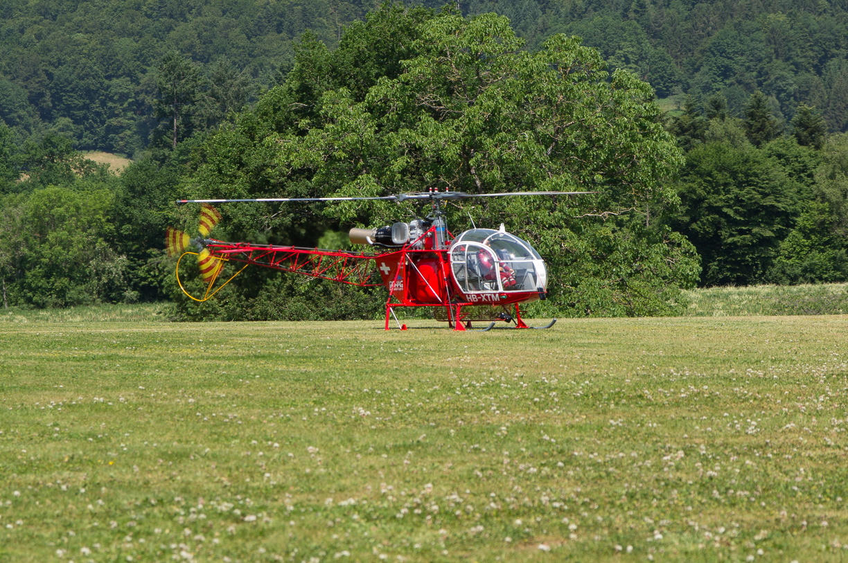 wieslet-02958