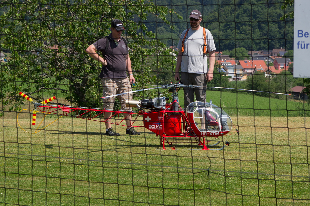 wieslet-02962