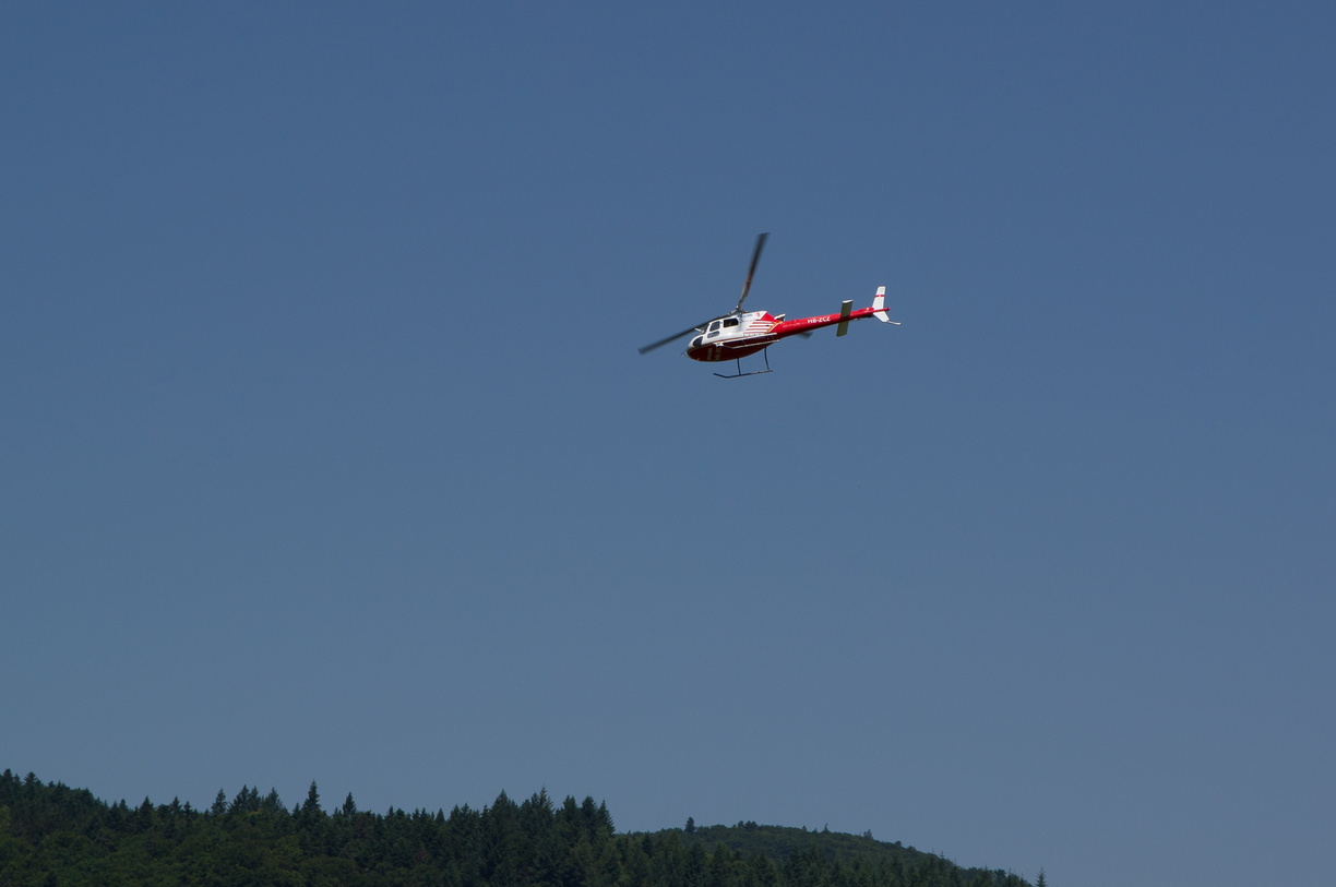 wieslet-02966