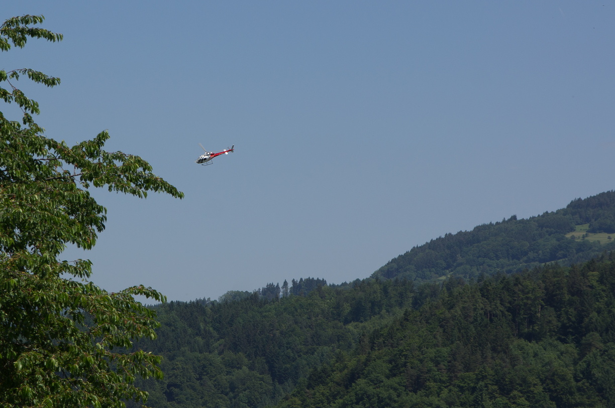 wieslet-02970