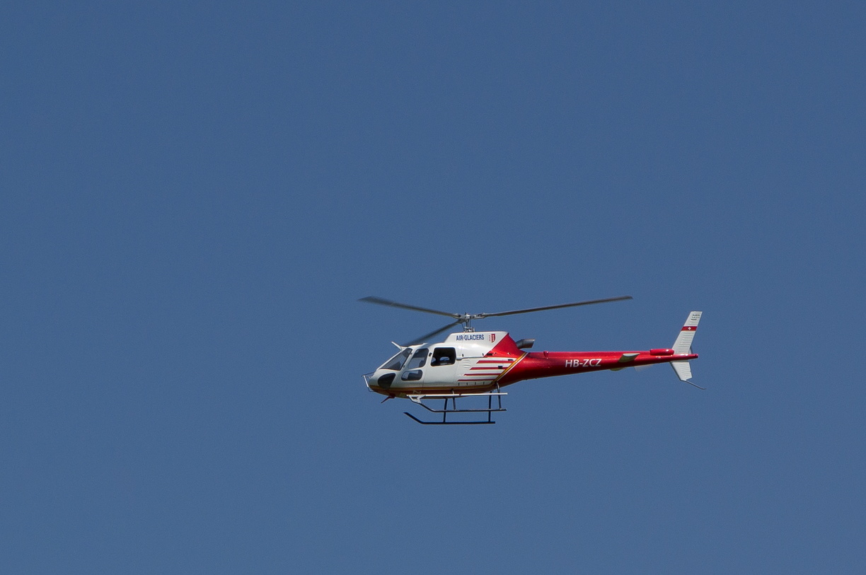 wieslet-02981