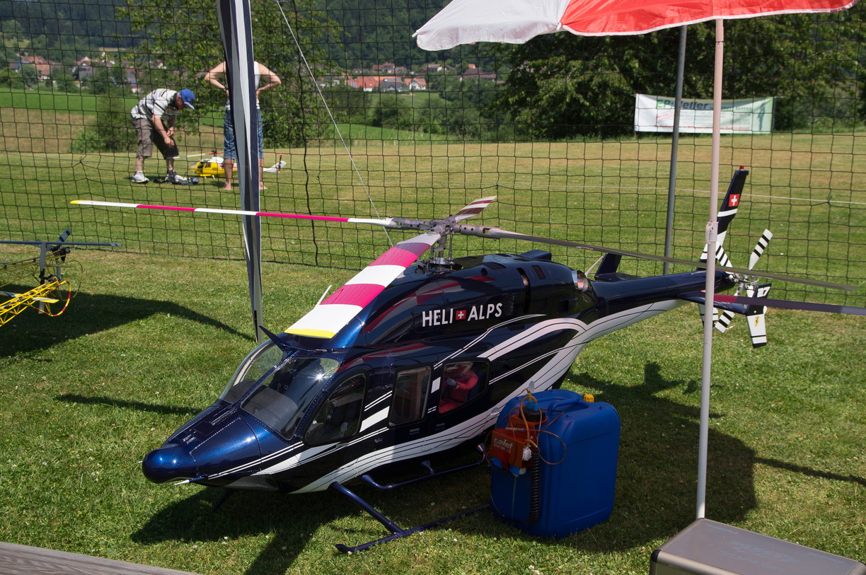 wieslet-03181