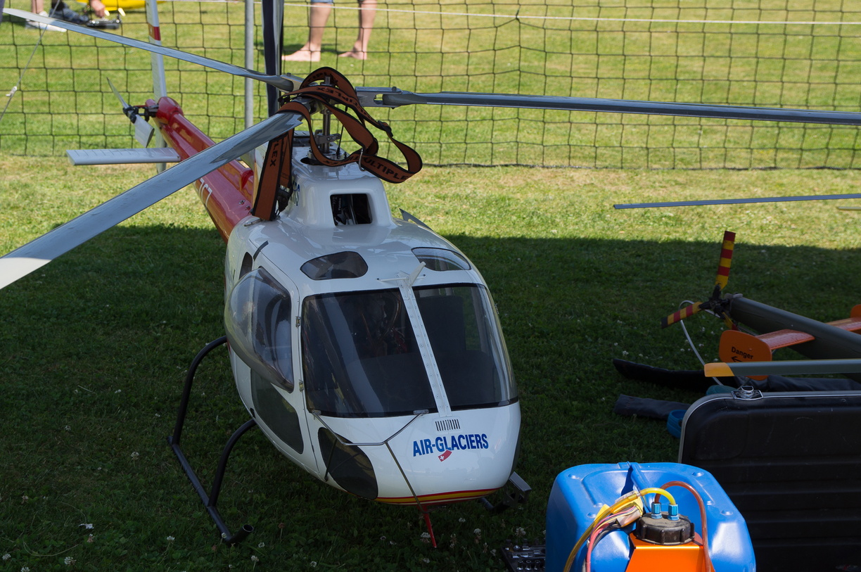 wieslet-03182